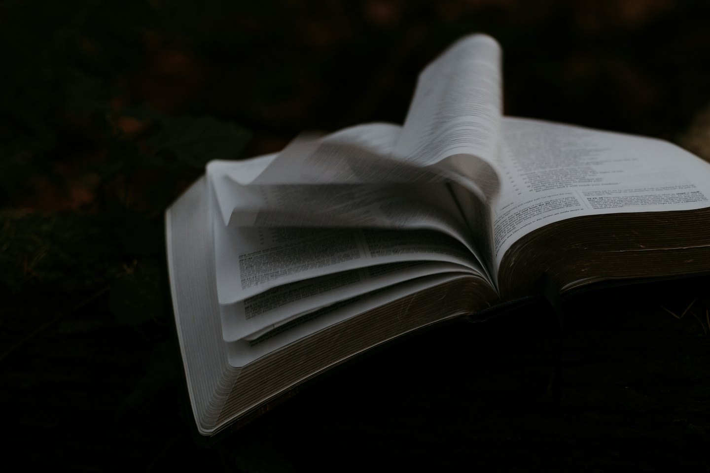 An open book with pages fluttering in motion.
