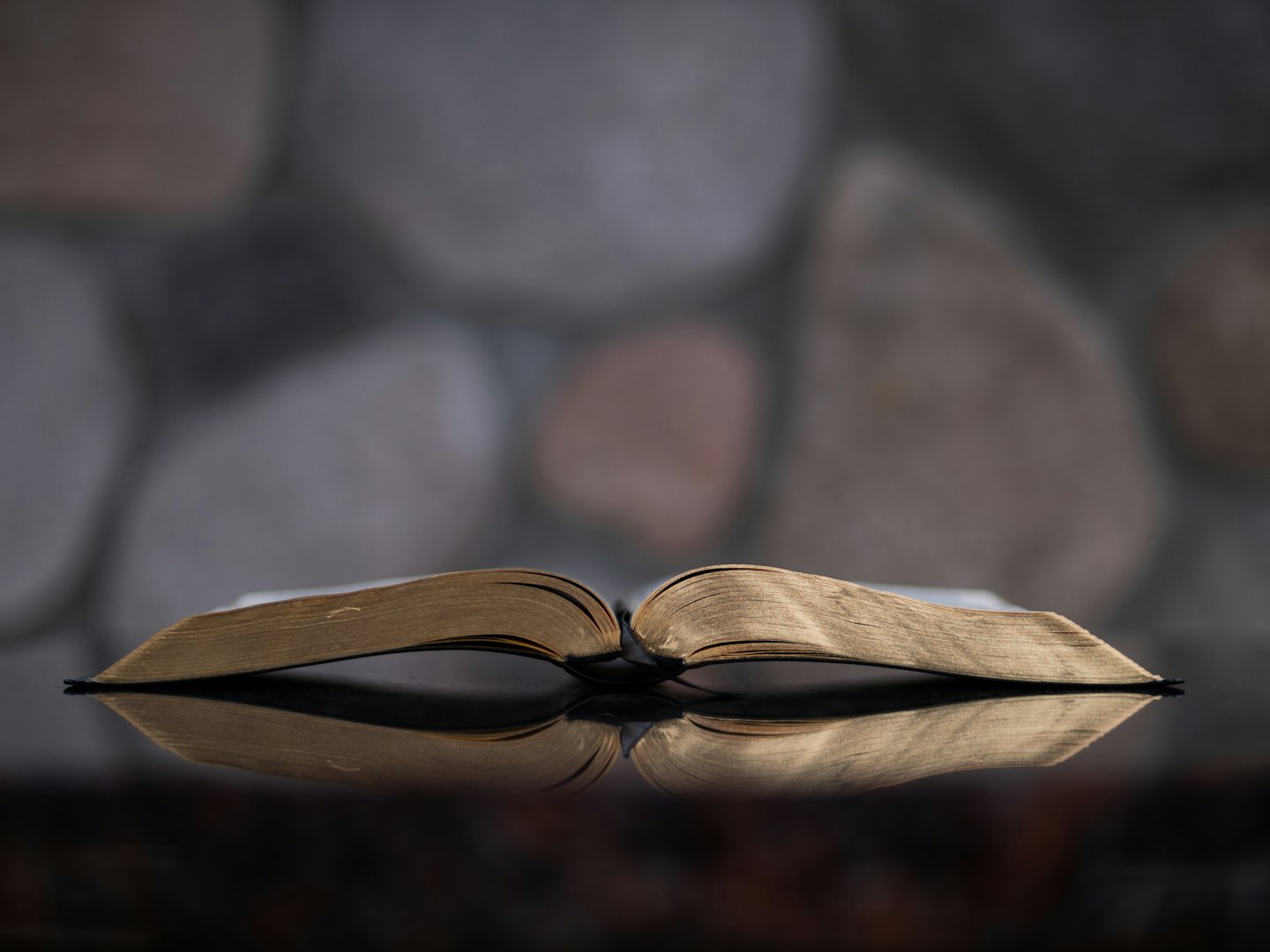 Open book with fanned pages on a reflective surface.