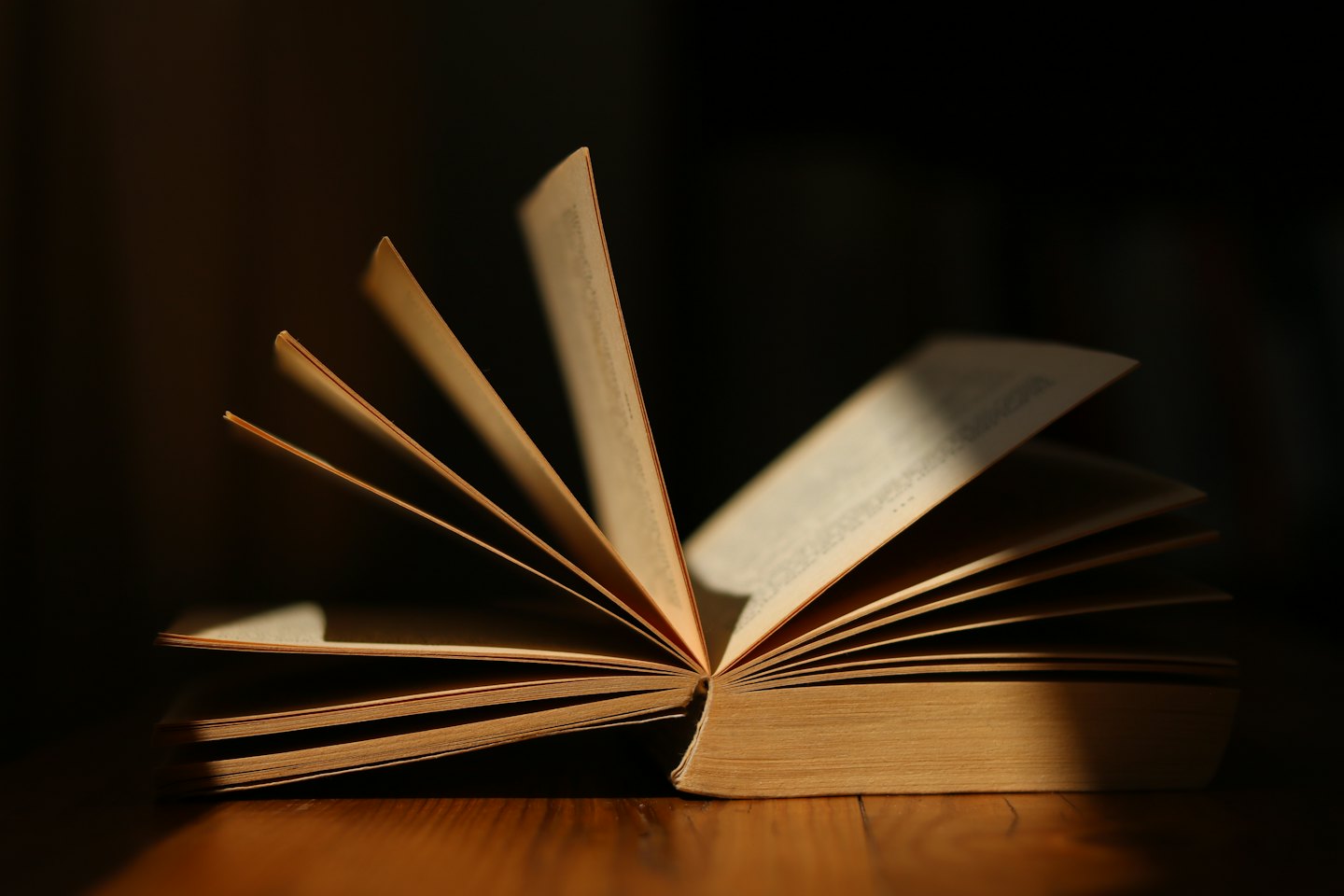 An open book with fanned pages lies on a wooden surface.